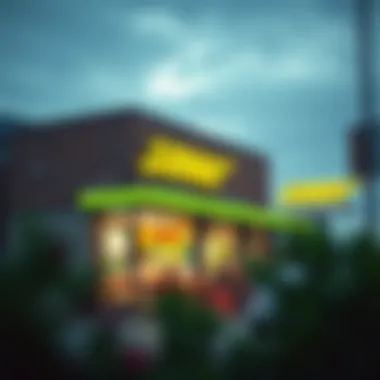 Magnificent The Financial Landscape of Purchasing a Subway Franchise Magnificent The Financial Landscape of Purchasing a Subway Franchise