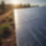 Solar panels reflecting sunlight in a rural area