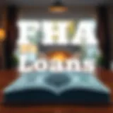 Visual representation of FHA loans available for borrowers
