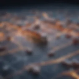 Dynamic overview of a supply chain network