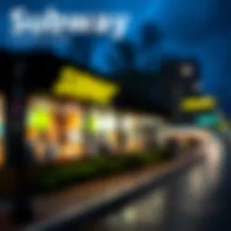 Subway franchise financial overview